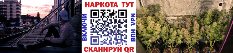 Все наркотики Ртищево блэк спрут ссылки  АМФЕТАМИН  ГАШ  APVP  Меф мяу мяу  КОКАИН  Канабис 