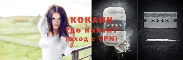 прущие грибы Алексин